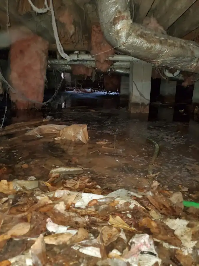 Crawl space flood assessment for Leak Detection & Repair in Ripon